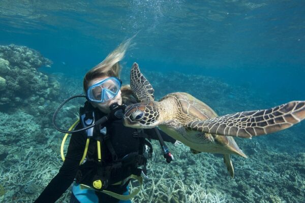 What Do Marine Biologists Do?