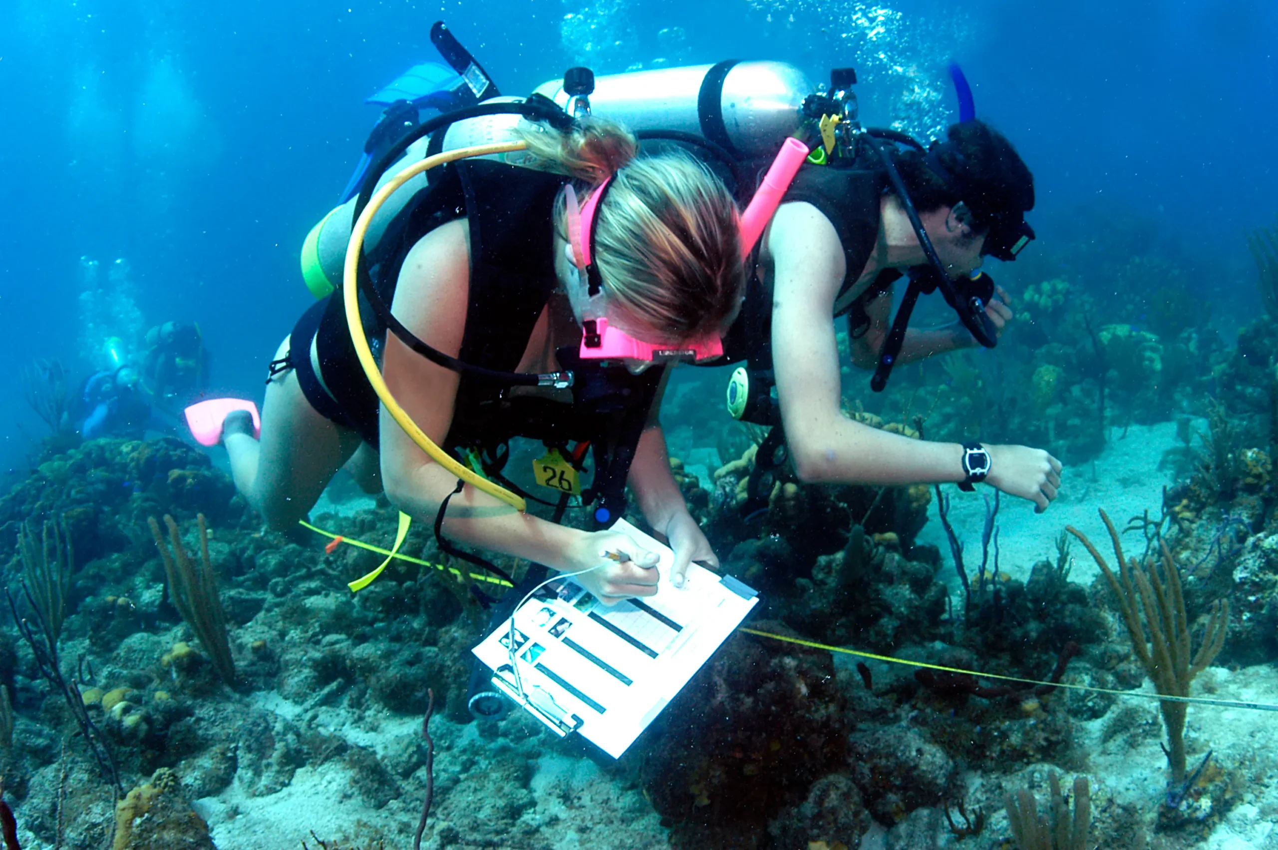 marine biologists